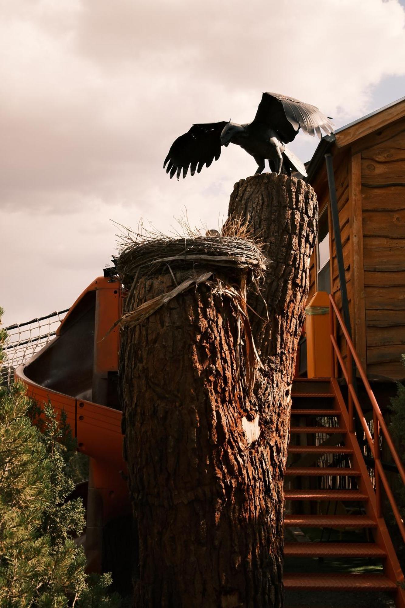 Nogal Crows Nest Treehouse At El Mstico Ranch 빌라 외부 사진