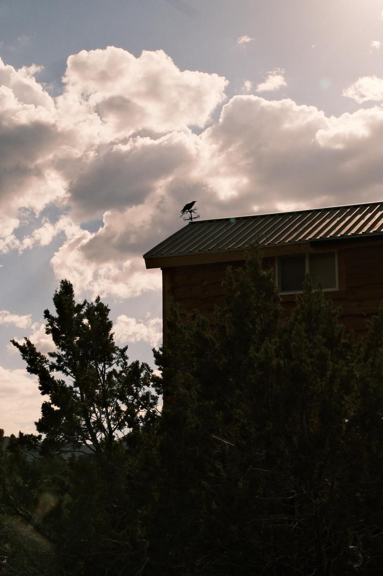 Nogal Crows Nest Treehouse At El Mstico Ranch 빌라 외부 사진