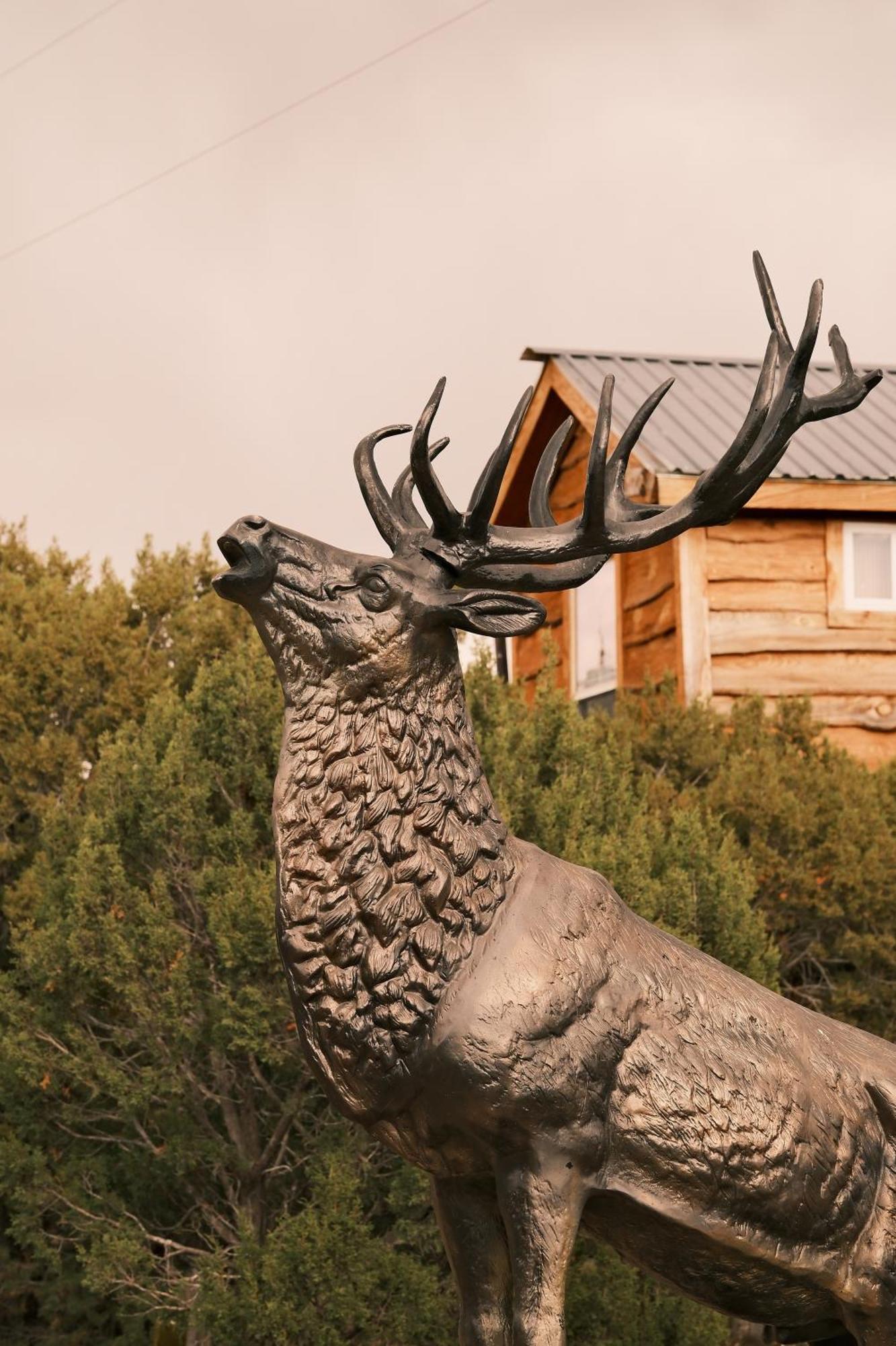 Nogal Crows Nest Treehouse At El Mstico Ranch 빌라 외부 사진
