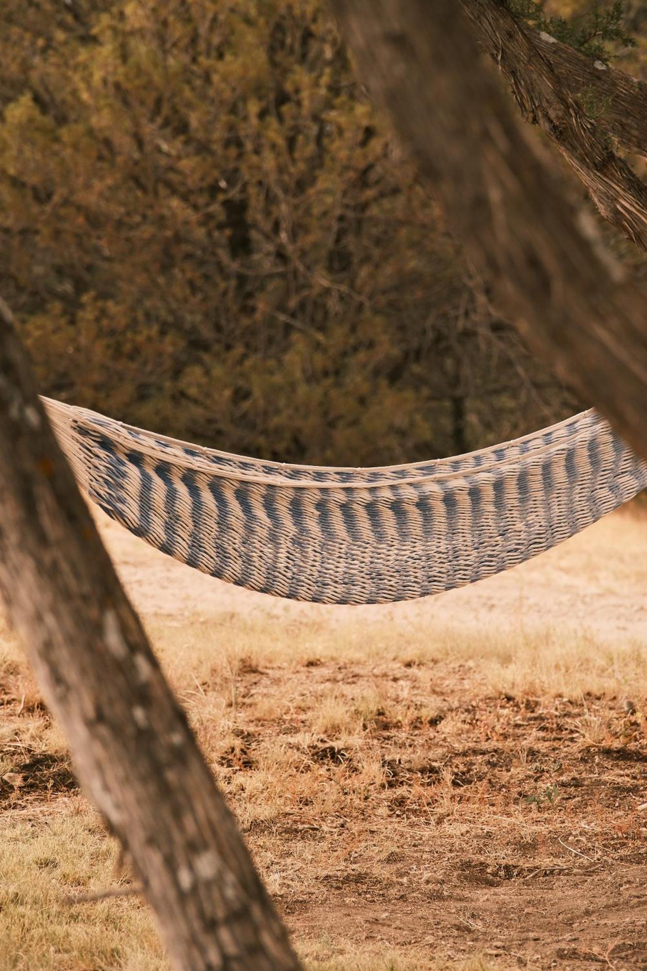 Nogal Crows Nest Treehouse At El Mstico Ranch 빌라 외부 사진